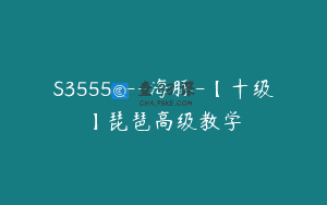 S3555—海豚-【十级】琵琶高级教学