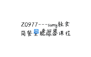 Z0977—sumy轻食简餐全能综合课程