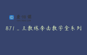 871_王教练拳击教学全系列