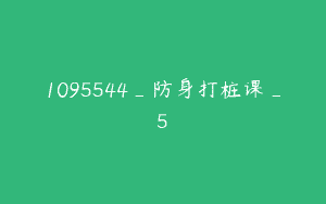 1095544_防身打桩课_5