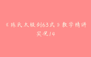 《陈氏太极剑63式》教学精讲实况14