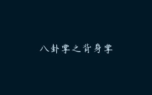 八卦掌之背身掌