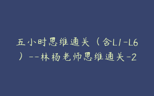 五小时思维通关（含L1-L6）–林杨老师思维通关-2