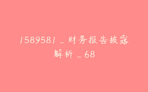 1589581_财务报告披露解析_68