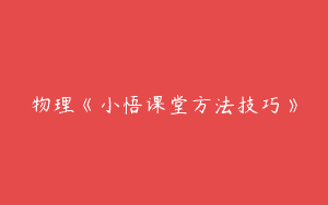 物理《小悟课堂方法技巧》
