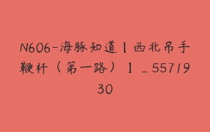 N606-海豚知道【西北吊手鞭杆（第一路）】_5571930