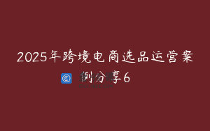2025年跨境电商选品运营案例分享6