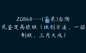 Z0868—[学浪]古陶瓷鉴定高级班（独创方法，一招制敌，三月大成）