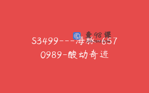 S3499—海豚-6570989-酸动奇迹