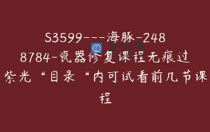 S3599—海豚-2488784-瓷器修复课程无痕过紫光“目录“内可试看前几节课程
