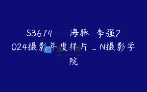 S3674—海豚-李强2024摄影年度样片_N摄影学院