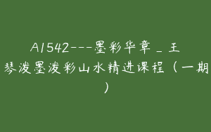 A1542—墨彩华章_王琴泼墨泼彩山水精进课程（一期）