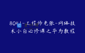 8041-工程师老张-网络技术小白必修课之华为教程