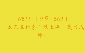 N811-【9节-￥369】【太乙五行拳】线上课_武当成师一