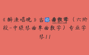 《醉渔唱晚》古琴曲教学（六阶段-中级琴曲单曲教学）专业学琴11