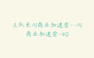 王队长AI商业加速营–AI商业加速营-40