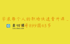 学浪每个人的职场快速晋升课_Fei哥899圆43节