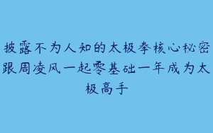 披露不为人知的太极拳核心秘密跟周凌风一起零基础一年成为太极高手
