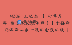 N206-王纪杰-【硃砂掌龙部-精进练功教学班】【录播课网络课二合一包学会教学版】