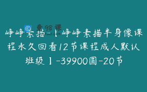 峥峥素描-【峥峥素描半身像课程永久回看12节课程成人默认班级】-39900圆-20节