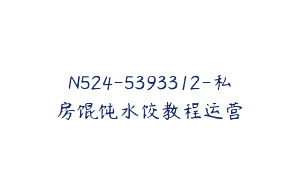 N524-5393312-私房馄饨水饺教程运营