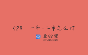 428_一审-二审怎么打