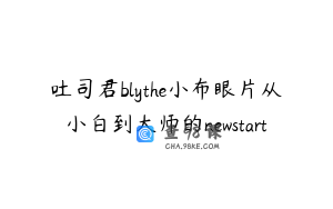 吐司君blythe小布眼片从小白到大师的newstart