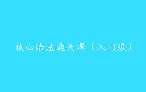 核心语法通关课（入门级）