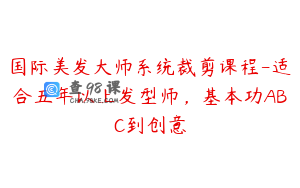 国际美发大师系统裁剪课程-适合五年以上发型师，基本功ABC到创意