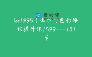 lee1995【李世行色彩静物提升课1599---131节