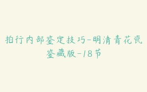 拍行内部鉴定技巧-明清青花瓷鉴藏版-18节