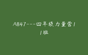A847---四年级力量营11班