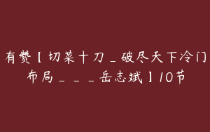 有赞【切菜十刀_破尽天下冷门布局___岳志斌】10节