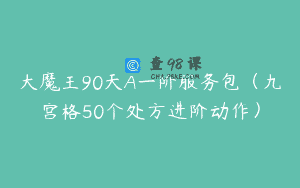 大魔王90天A一阶服务包（九宫格50个处方进阶动作）