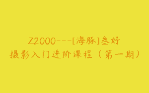 Z2000—[海豚]叁好摄影入门进阶课程（第一期）