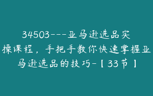 34503---亚马逊选品实操课程，手把手教你快速掌握亚马逊选品的技巧-【33节】