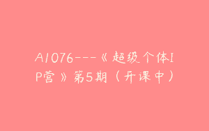 A1076—《超级个体IP营》第5期（开课中）