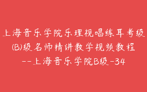 上海音乐学院乐理视唱练耳考级(B)级名师精讲教学视频教程–上海音乐学院B级-34
