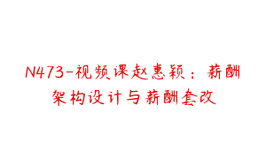 N473-视频课赵惠颖：薪酬架构设计与薪酬套改
