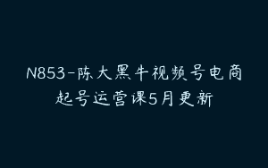 N853-陈大黑牛视频号电商起号运营课5月更新