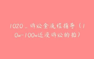 1020_诉讼全流程指导（10w-100w还没诉讼的拍）