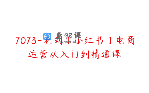 7073-老刘【小红书】电商运营从入门到精通课