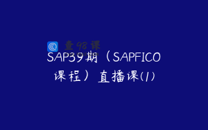 SAP39期(SAPFICO课程)直播课(1)