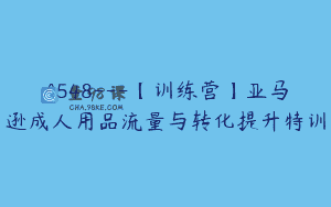 A548—【训练营】亚马逊成人用品流量与转化提升特训