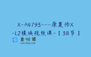 X-A4793---康复师X-L2模块视频课-【38节】