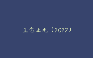 正念止观（2022）