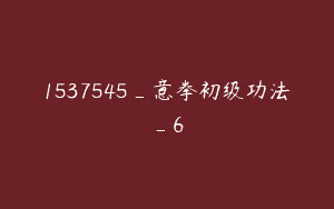 1537545_意拳初级功法_6