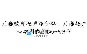 犬猫腹部超声综合班_犬猫超声心动图教学Dr.wei49节