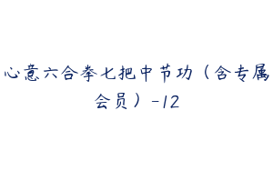 心意六合拳七把中节功（含专属会员）-12