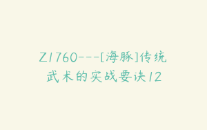 Z1760---[海豚]传统武术的实战要诀12